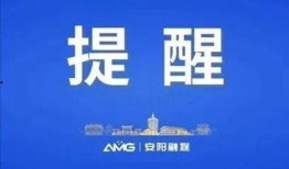 今日头条生活日记爆料,真实生活背后的故事